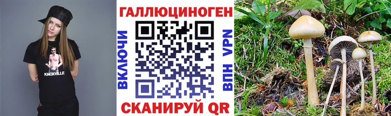 Купить закладки  Спасск  Псилоцибиновые грибы прущие грибы 